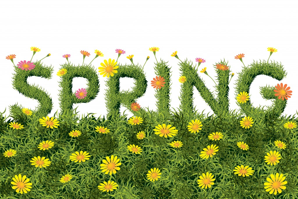 Spring Starts 2025 Leigh J Mankin