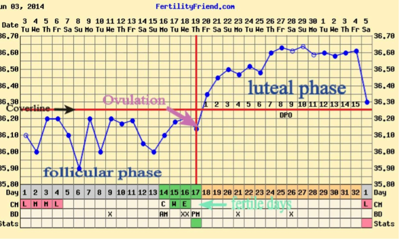 Luteal Phase Calculator, Fertility2Family