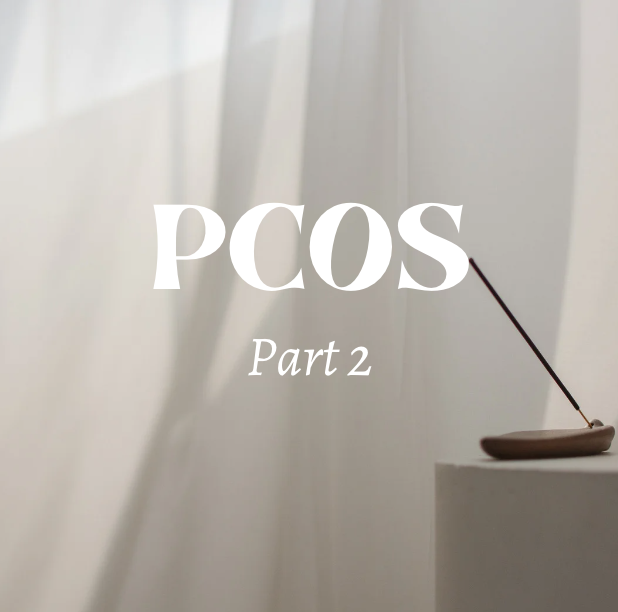 Video blog discussing Polycystic Ovarian Syndrome, part 2 of 3