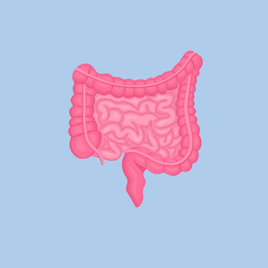 Nervous system, Gut and Pain
