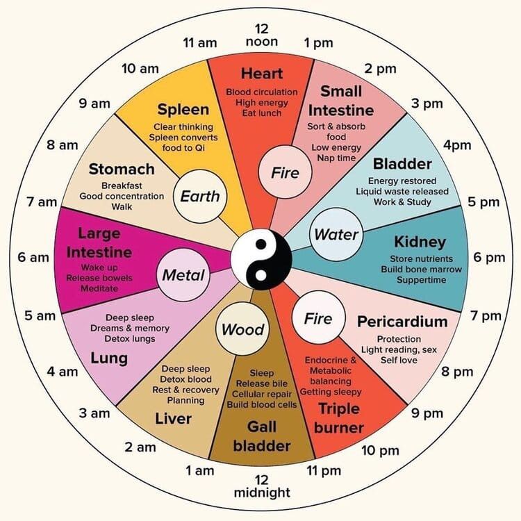 An image of the TCM body clock